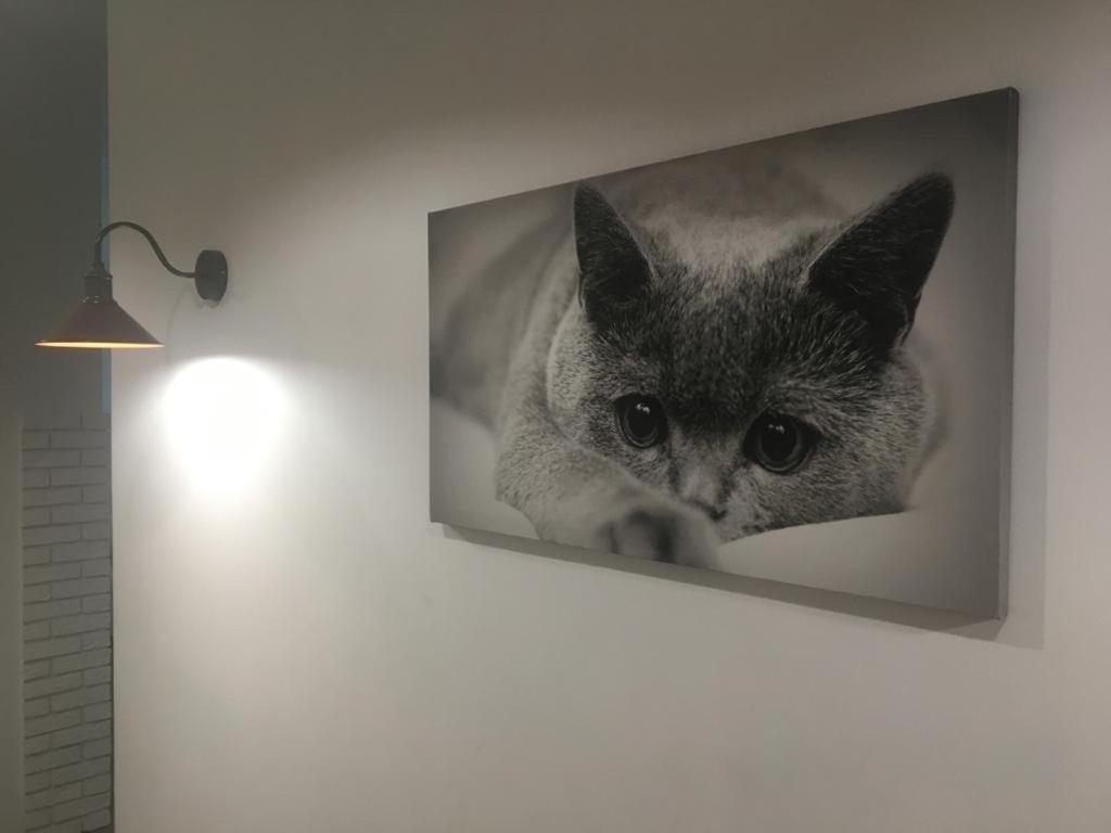 Comfort Place In The City Centre Ивано-Франкивск Екстериор снимка